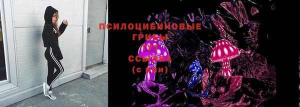 spice Лиски