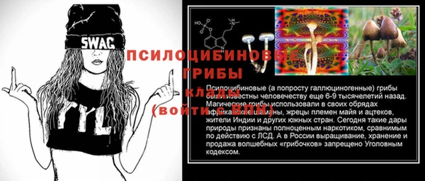 spice Лиски