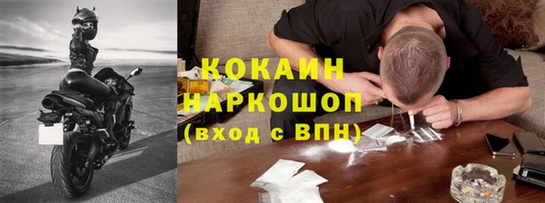 крисы Слюдянка