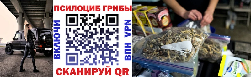 Галлюциногенные грибы Cubensis  Тихвин 