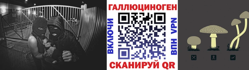 Галлюциногенные грибы GOLDEN TEACHER Тихвин