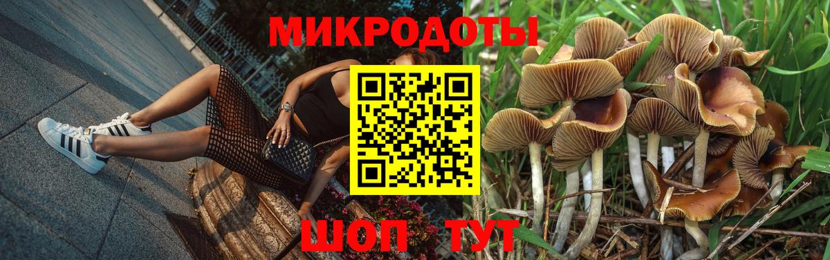 Тихвин  Псилоцибиновые грибы Cubensis  где продают наркотики  Вход с VPN 
